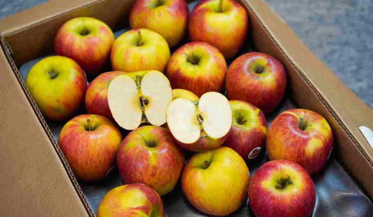 Táo Fuji Mỹ (Loại 1) - Giòn, Ngọt thanh